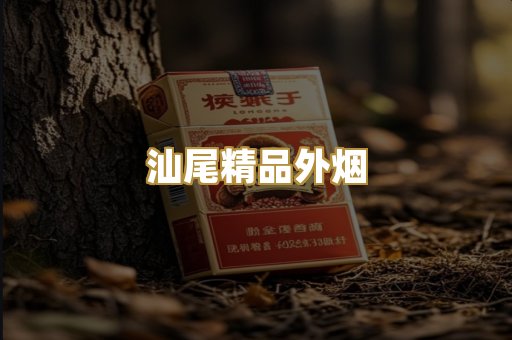 汕尾精品外烟