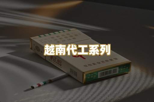 越南代工系列